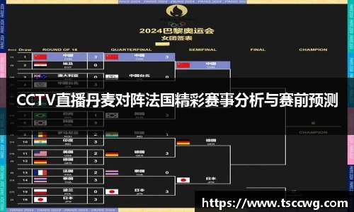 CCTV直播丹麦对阵法国精彩赛事分析与赛前预测