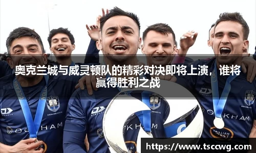 中欧体育